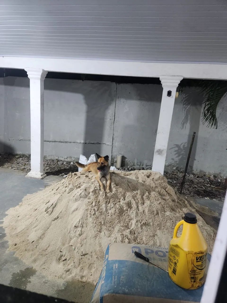 Doação responsável  - Foto 3