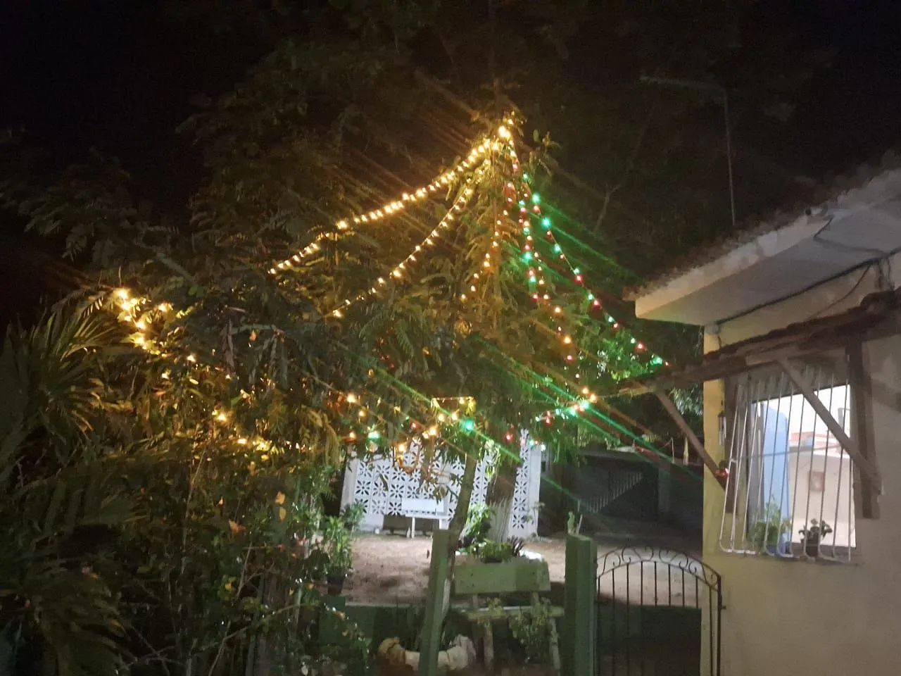 Vendo ótimo sitio em Paudalho - Foto 3