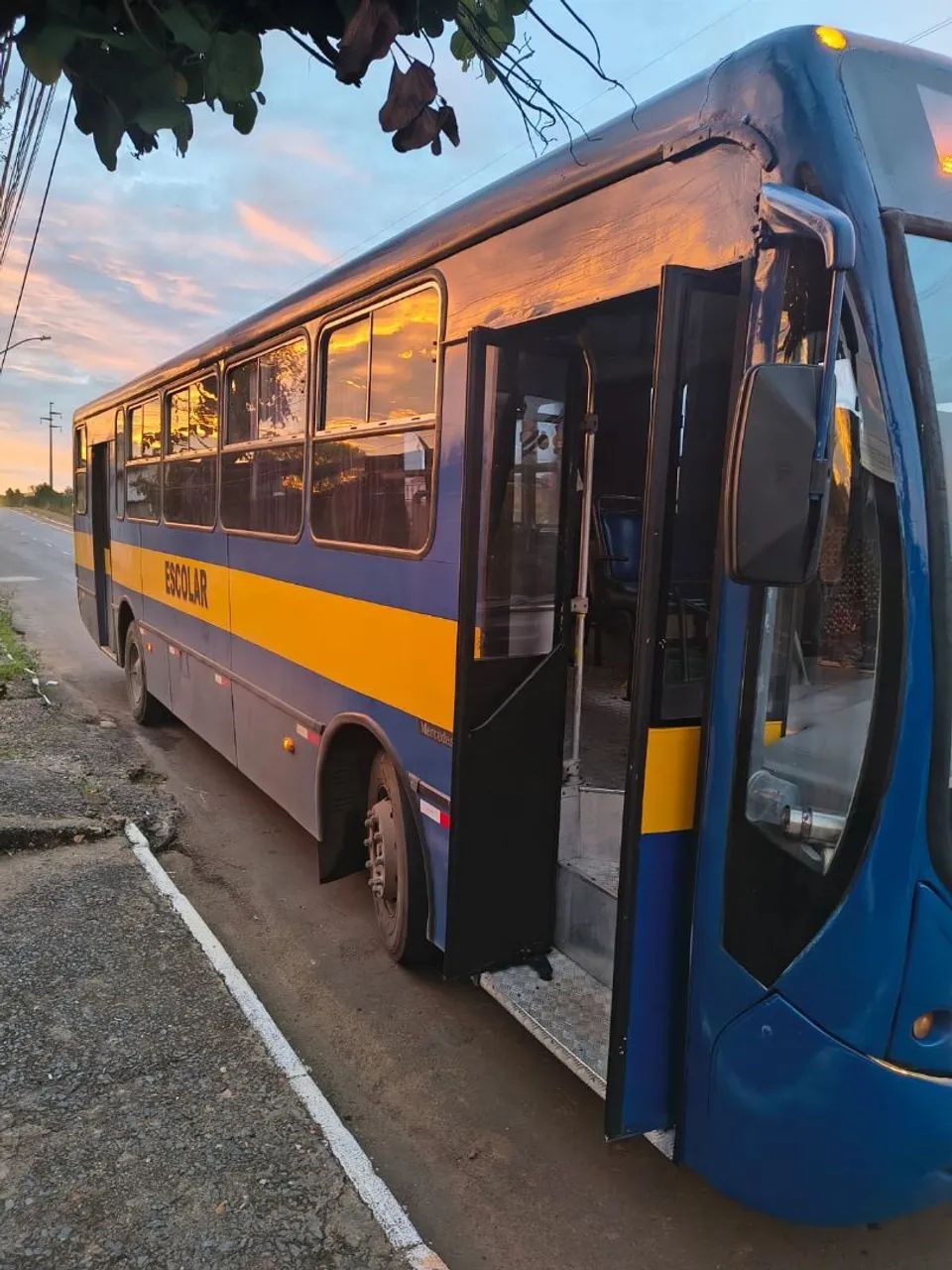 Venda de ônibus 