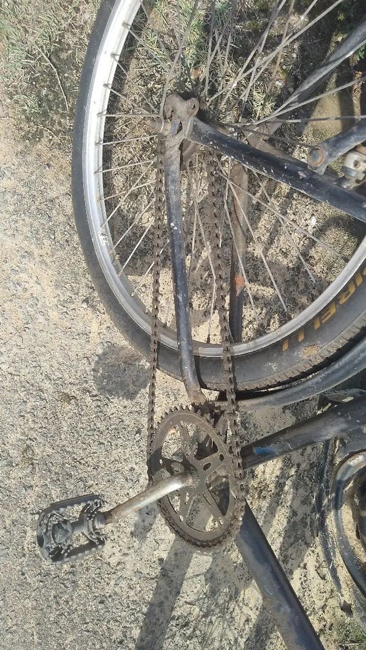 Vendo bicicleta cargueira tratar Sergio * - Foto 4