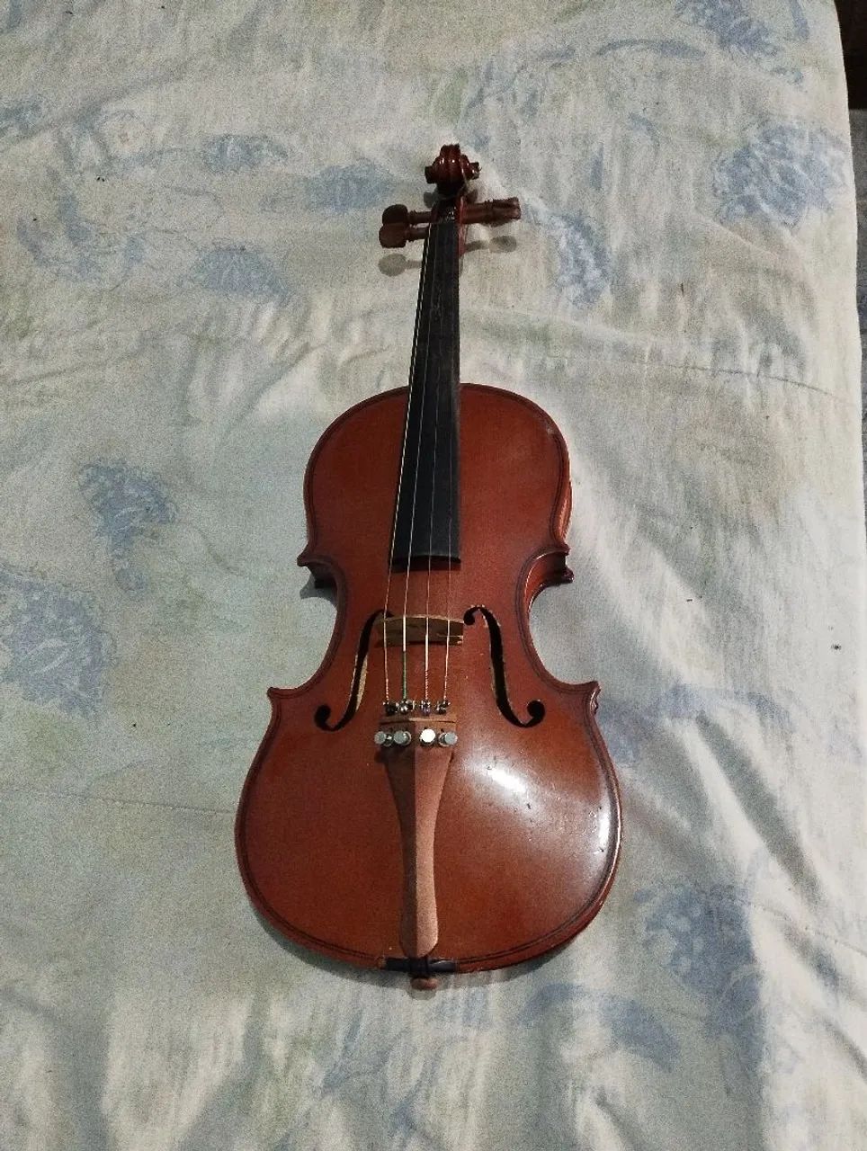 Violino  - Foto 2