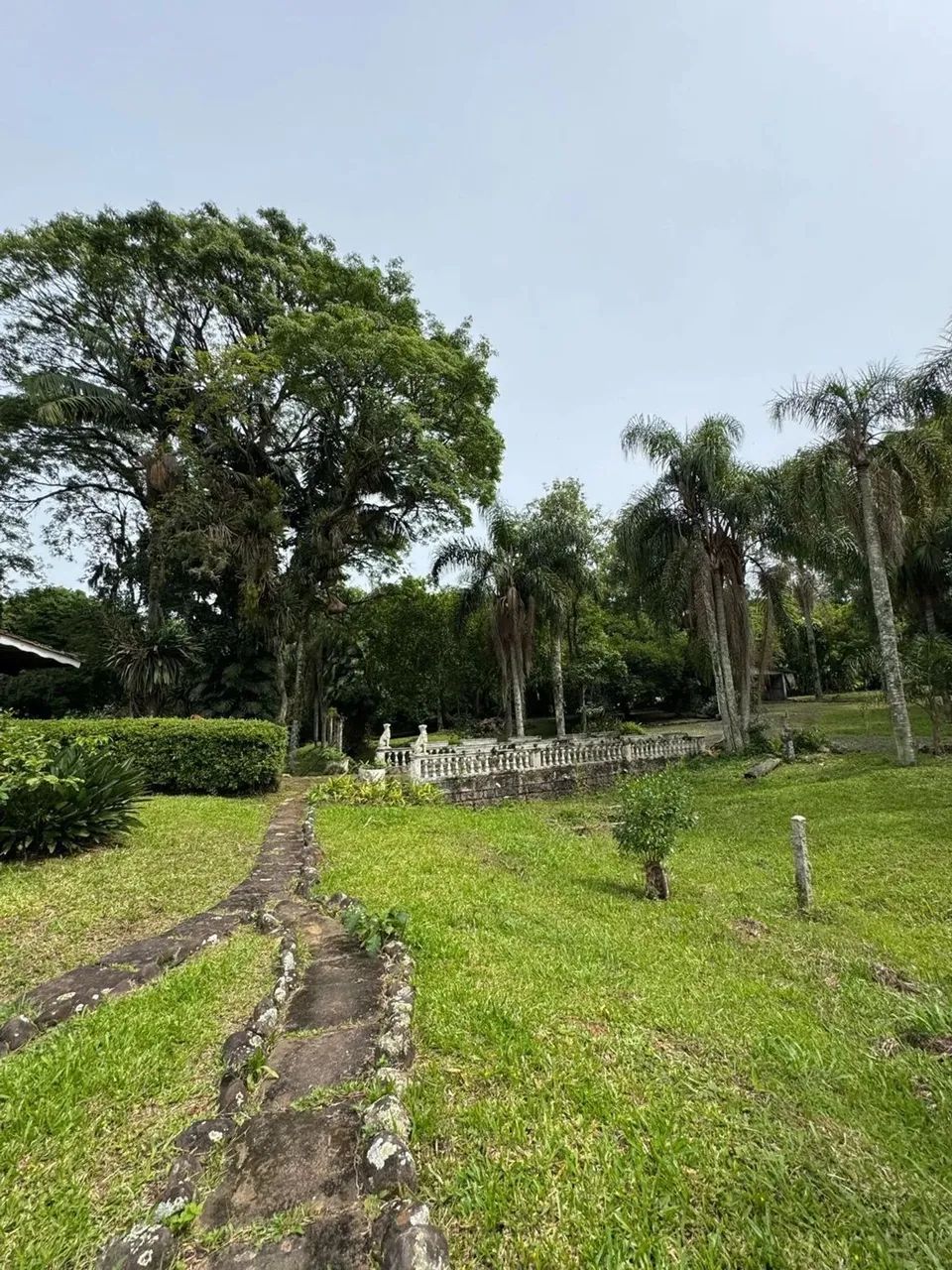 Chácara próxima ao Centro de Criciúma - Foto 4