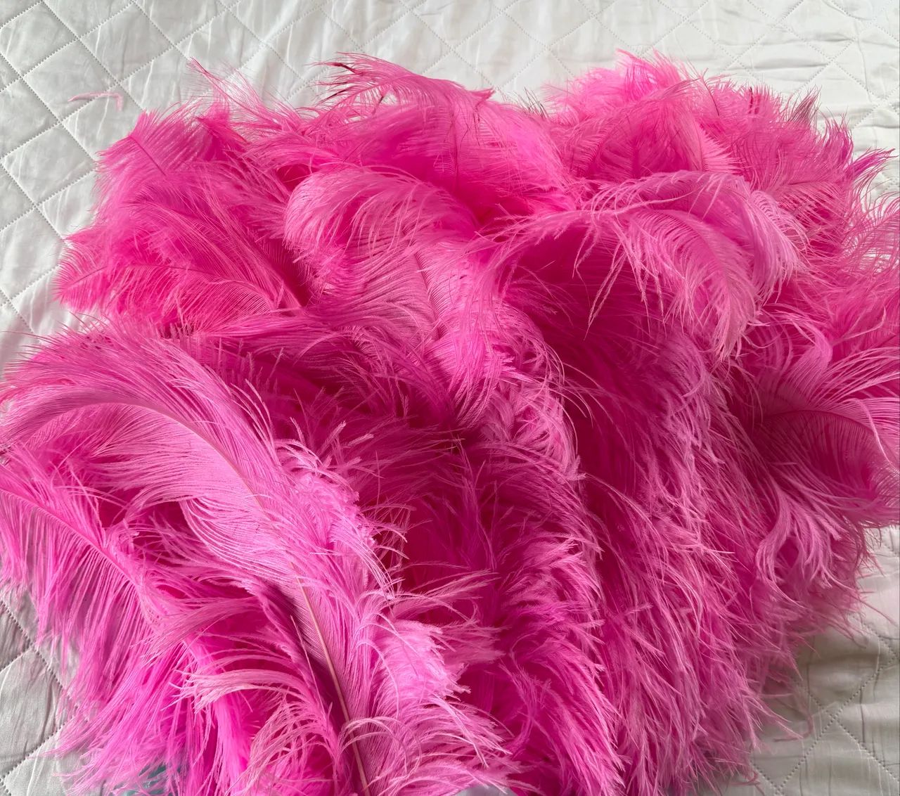 Plumas para decoração 