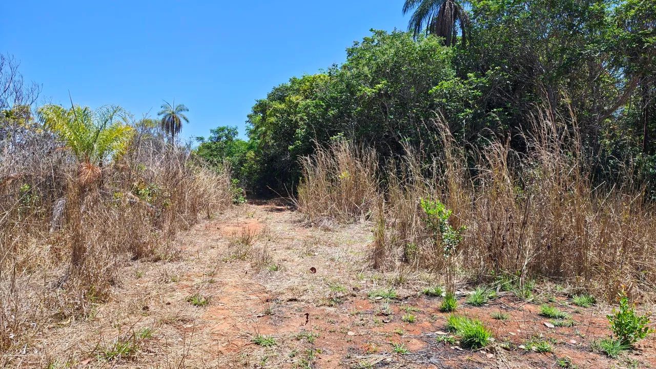 Fazenda a venda e flores de Goiás  - Foto 4