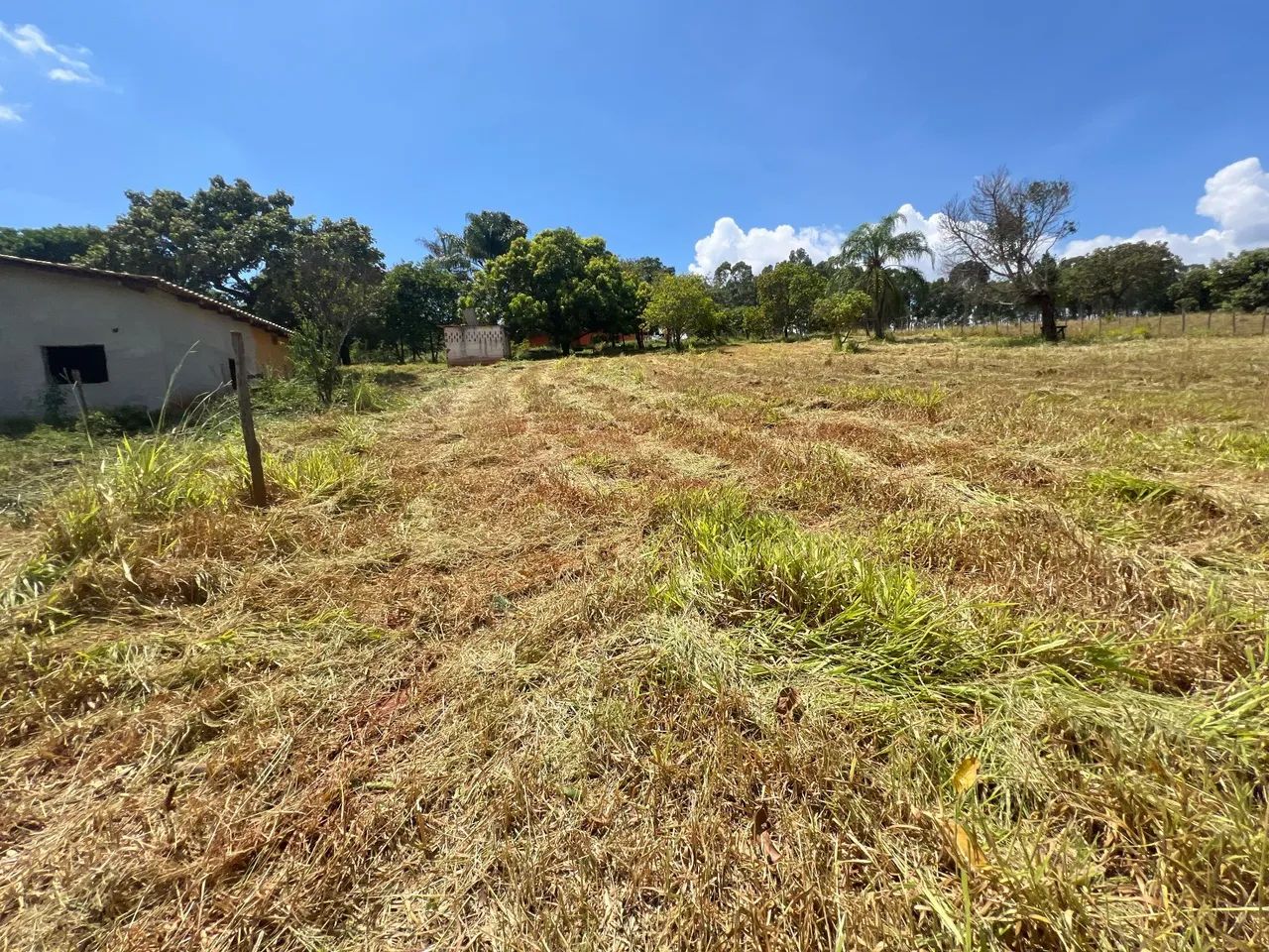 Módulo rural na região dd para de minas  - Foto 4