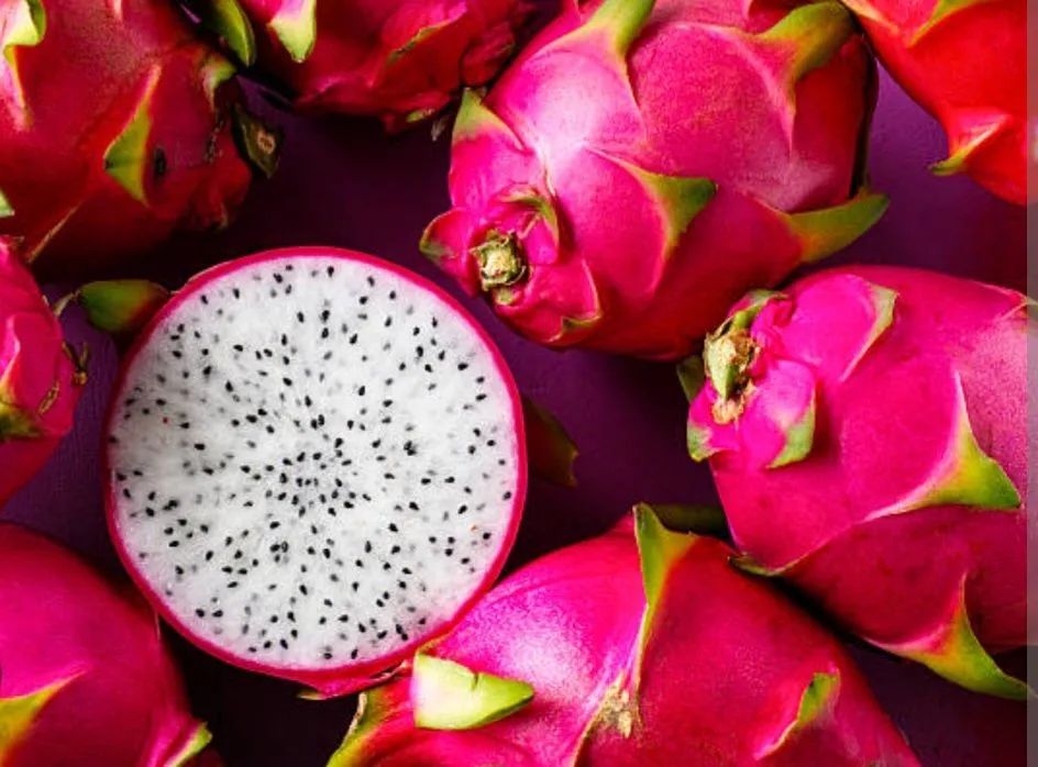 Vendo mudas de Pitaya Branca 