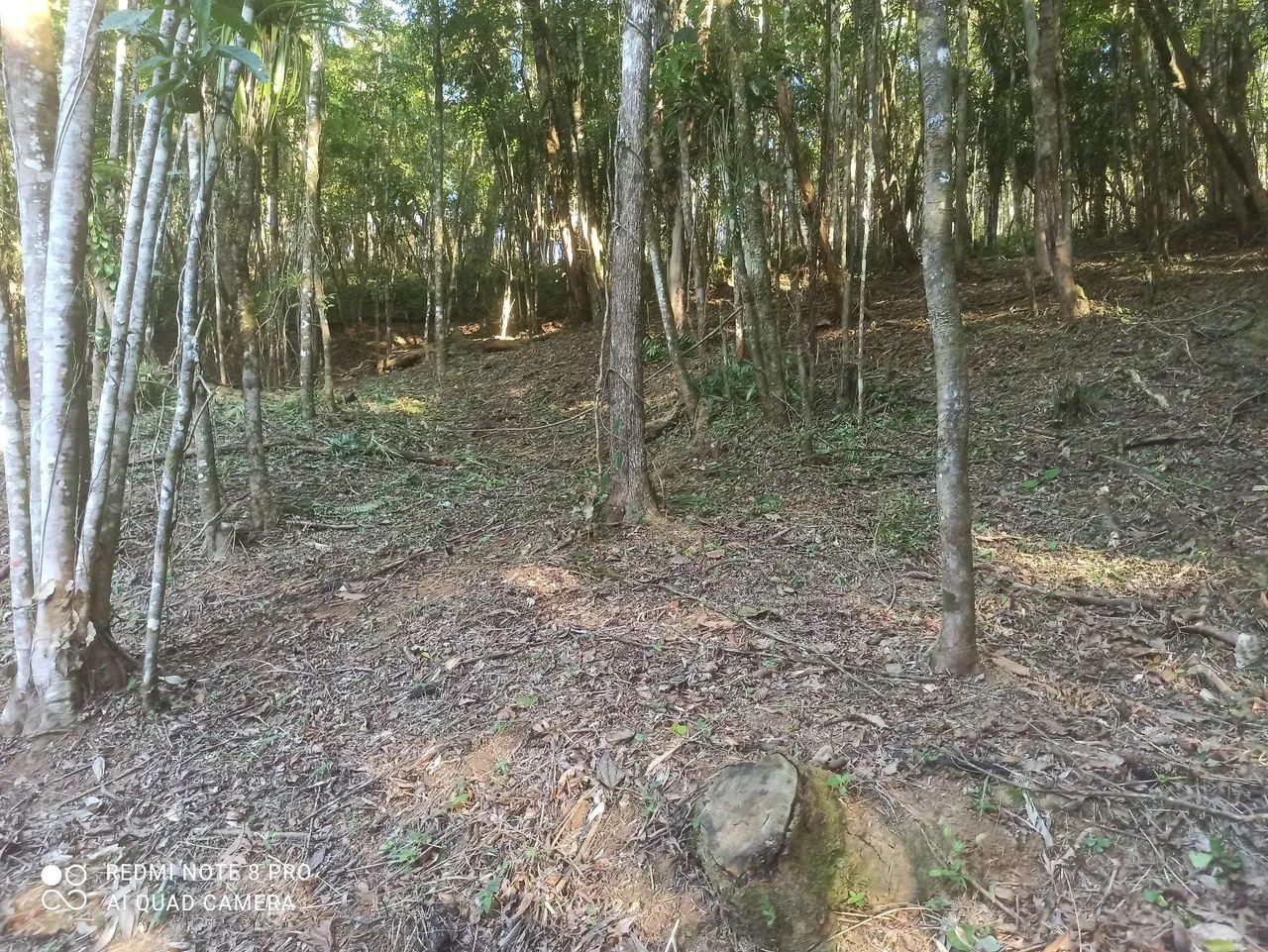  chácara em Antonina 