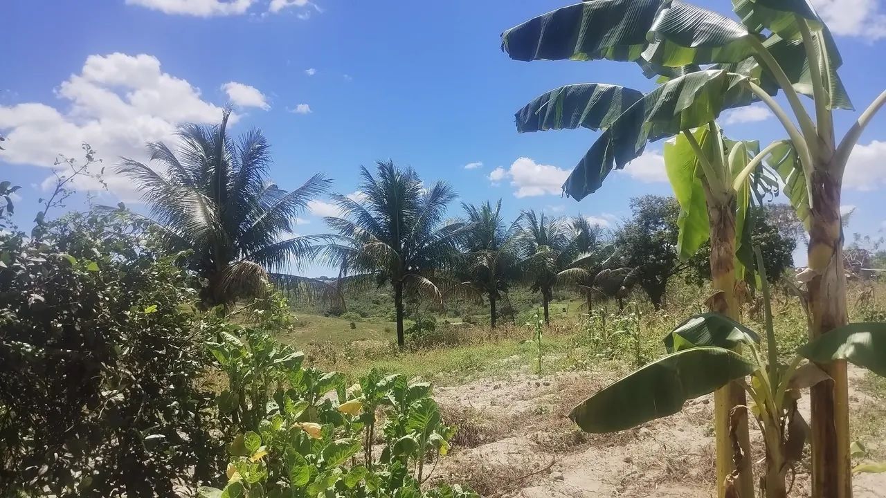 Sítio em Lagoa Seca a 1,2 km do asfalto  - Foto 3