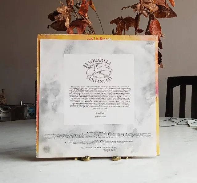 lp vinil - wilson e soraia - aquarela sertaneja 1992 - Foto 5
