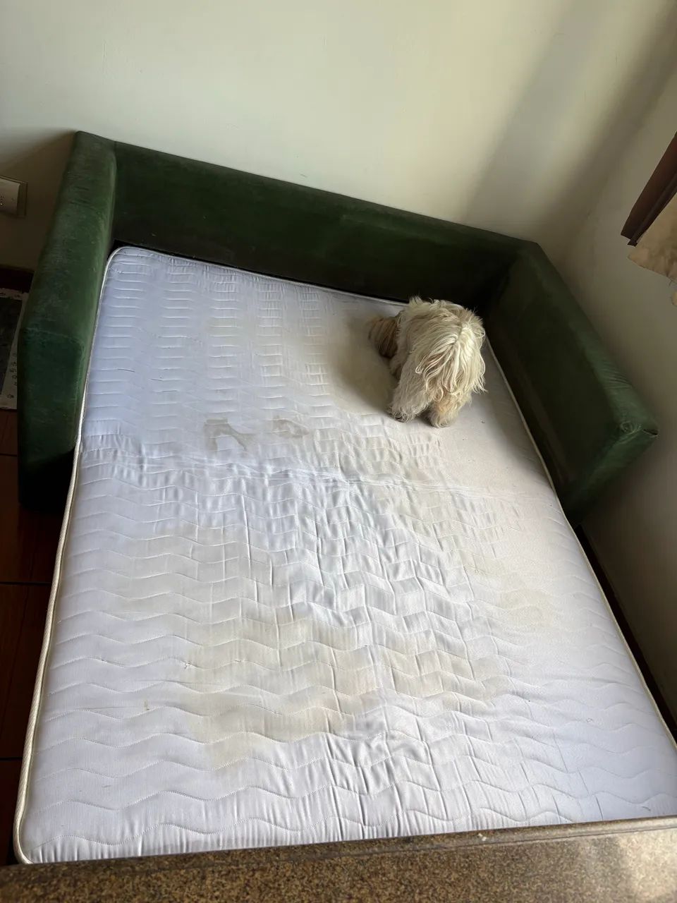 Sofá-Cama confortável - Foto 4