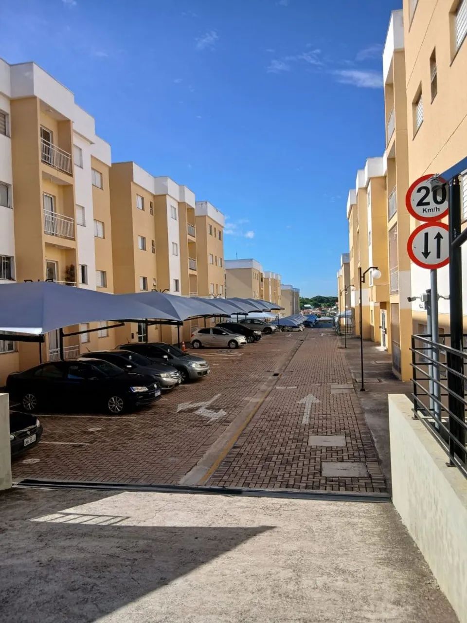 Foto - Vinhedo - João XXIII