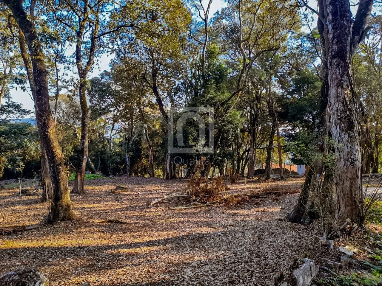 TERRENO À VENDA NO CONDOMÍNIO MONTE VERDE, IBIÚNA, SP - Foto 3
