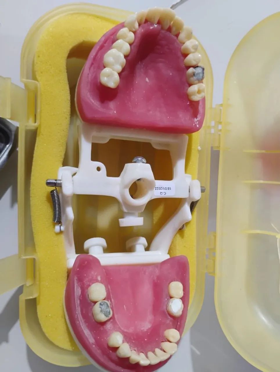 Manequim odontológico  - Foto 6