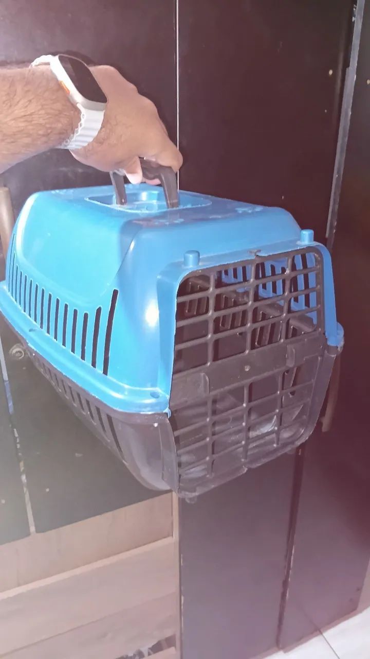 Coelha + caixa de transporte  - Foto 2