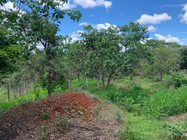Chácara 1.000m², casa simples, com agua e luz, Jaboticatubas. - Foto 2