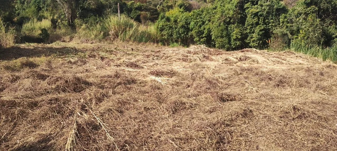 TERRENO COM EXCELENTE LOCALIZAÇÃO  - Foto 4