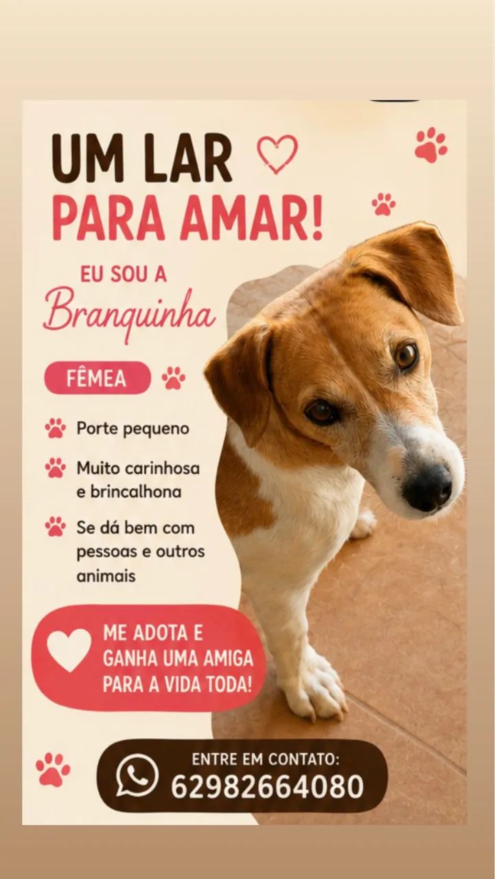 Doação responsável  - Foto 3