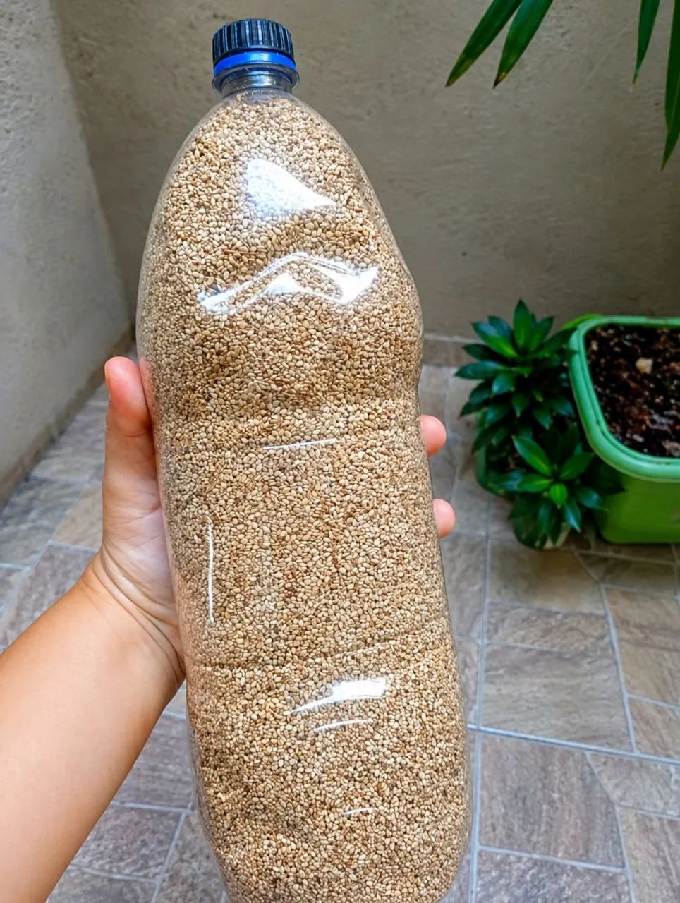 Vendo Gergelim  - Foto 3