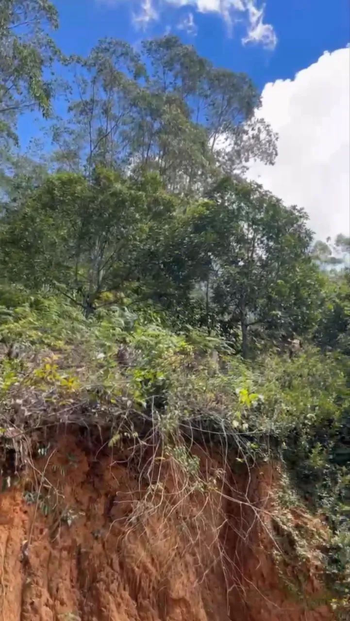 Vendo terreno no Rio possmoser - Foto 3