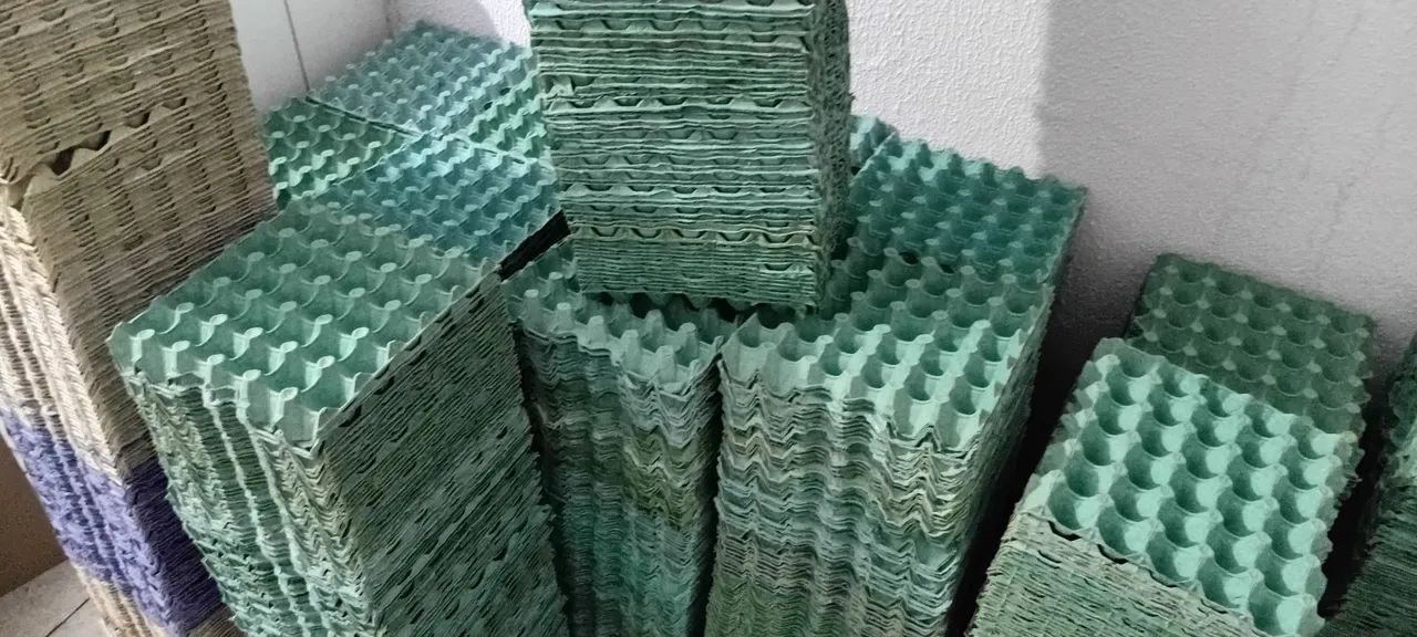 Cartelas vazias para ovos 