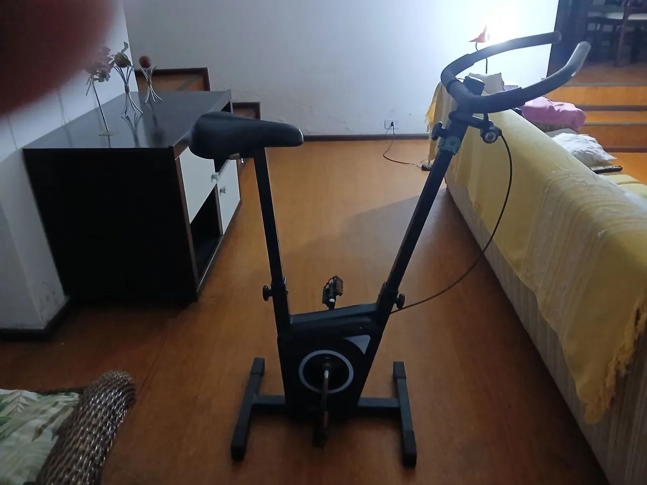 Bicicleta ergometrica 
