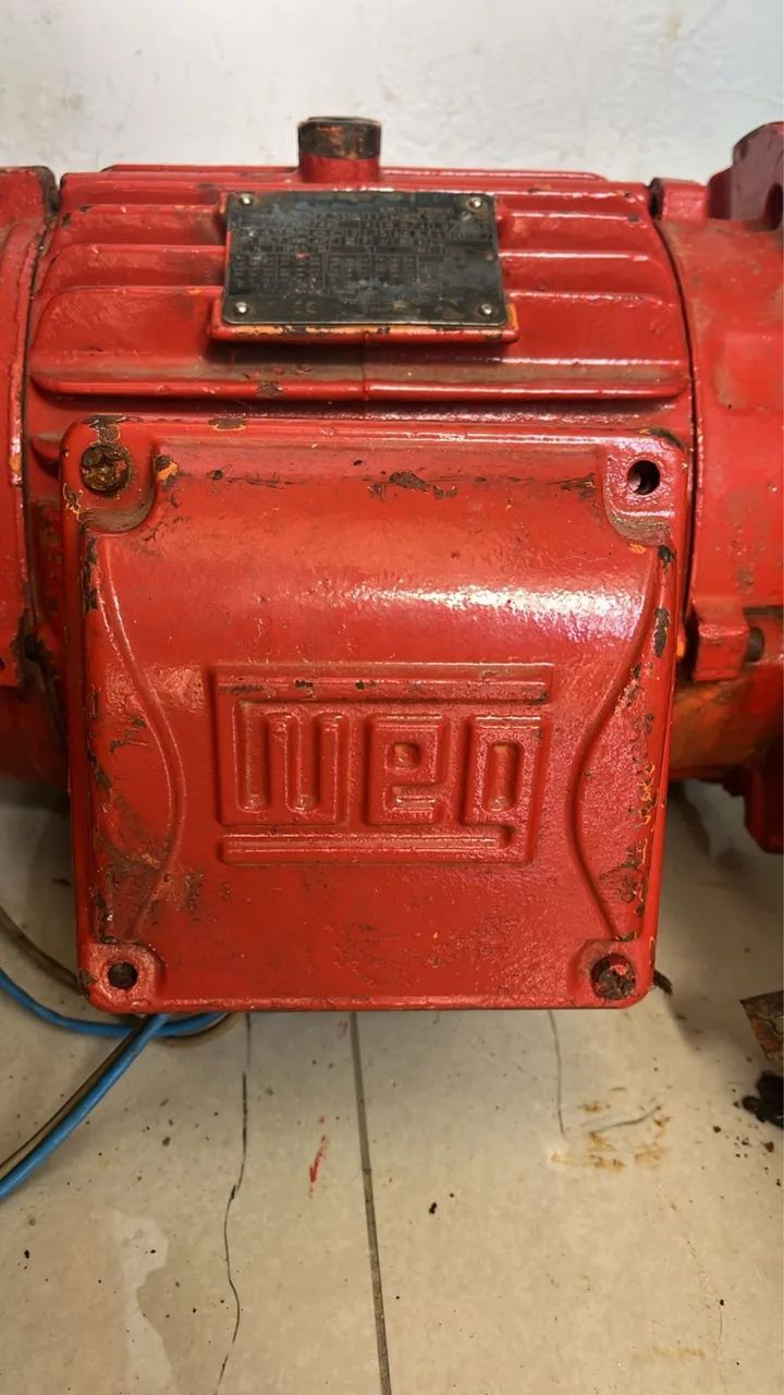 Motor e Triturador 10 CV  - Foto 2