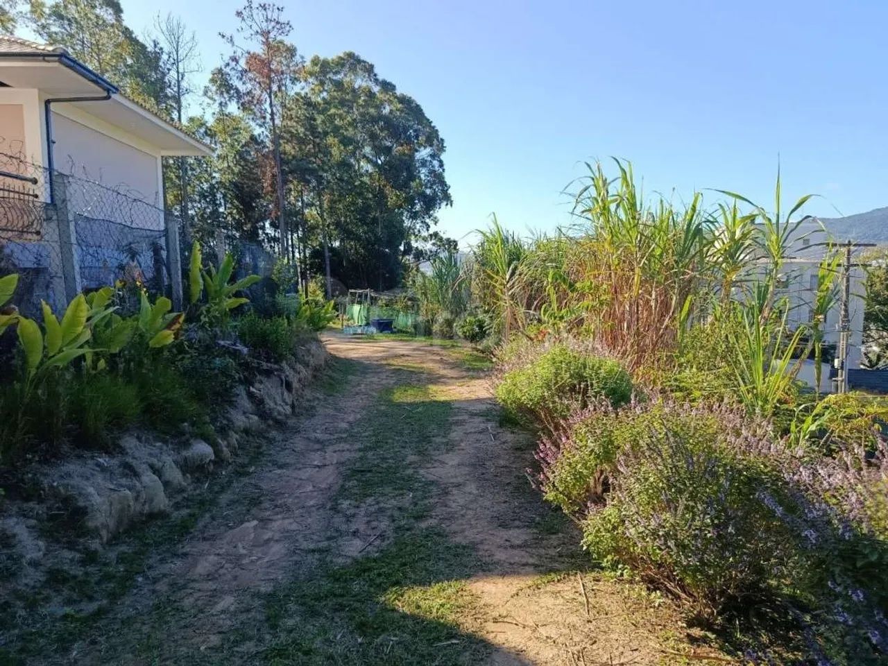 Terreno para Venda em Florianópolis, Pantanal - Foto 5