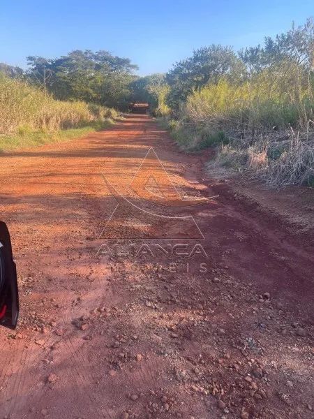 Fazenda - Bariri - Zona Rural - Foto 5
