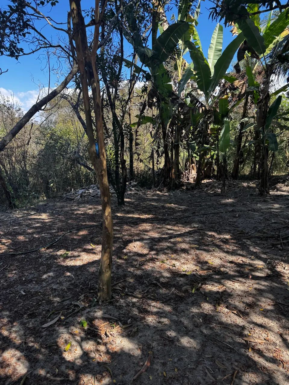 Terreno condomínio Saraiva  - Foto 2