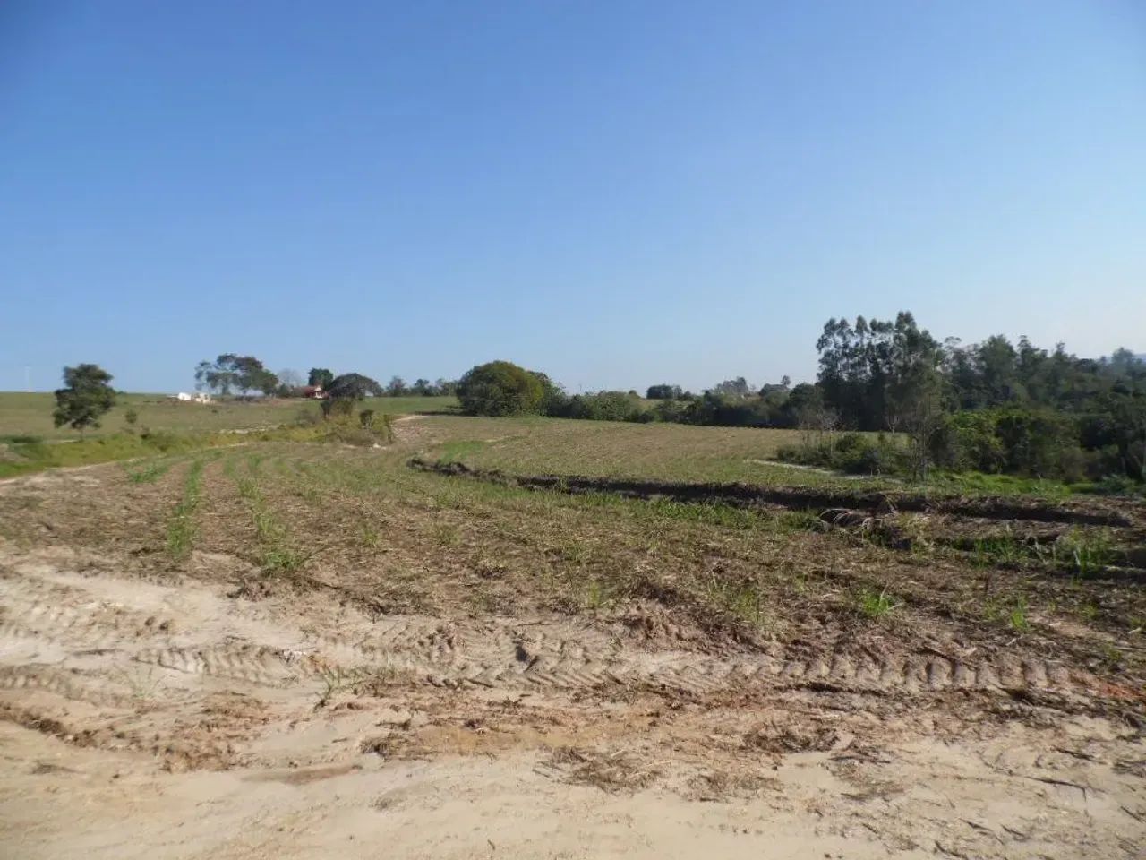 SITIO EM CONCHAS SP. - PROX. DA DIVISA COM ANHEMBI SP - Foto 5