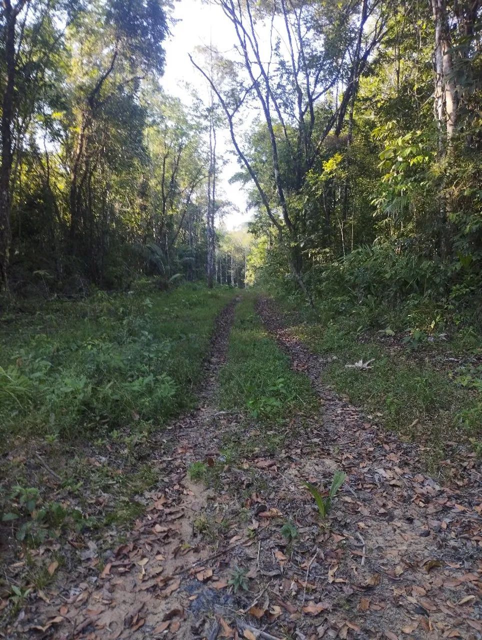 Terreno Rural com igarapé  - Foto 4