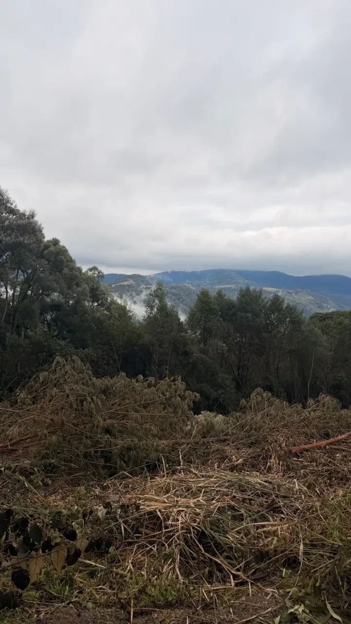 sítio a venda em Urubici - Foto 5