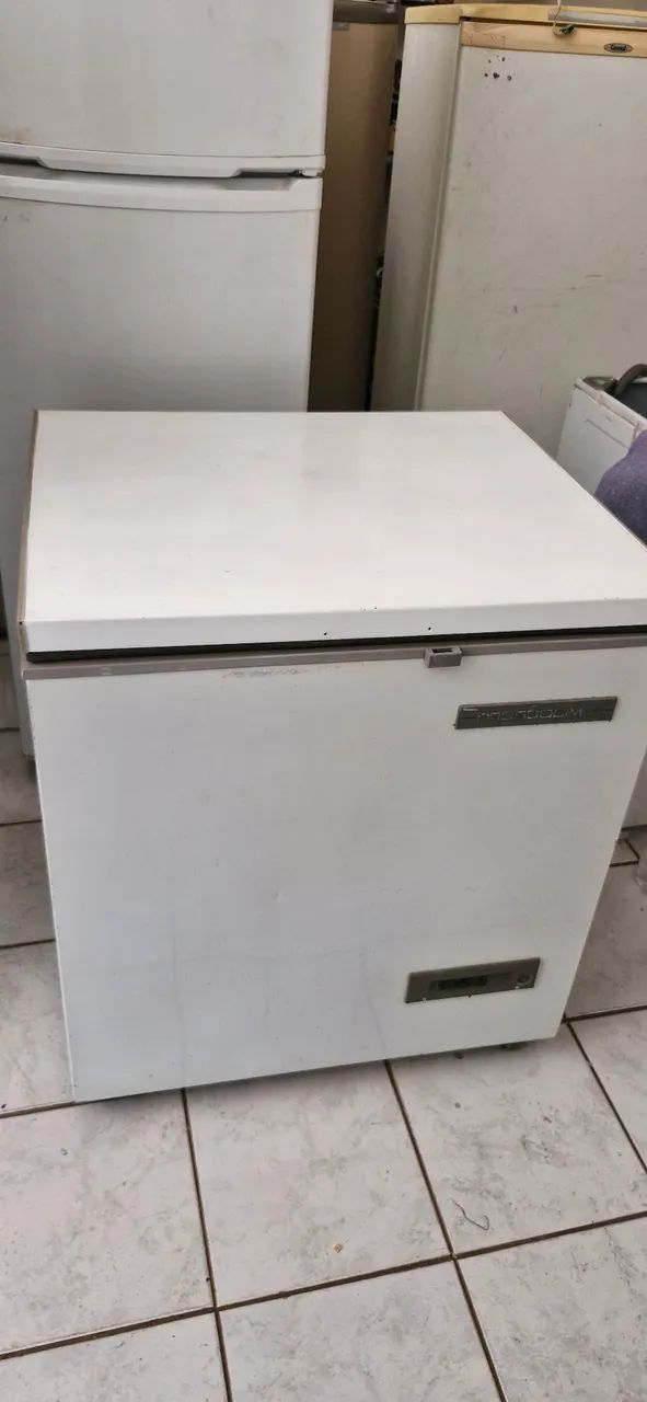 Freezer Prosdocimo 190l 