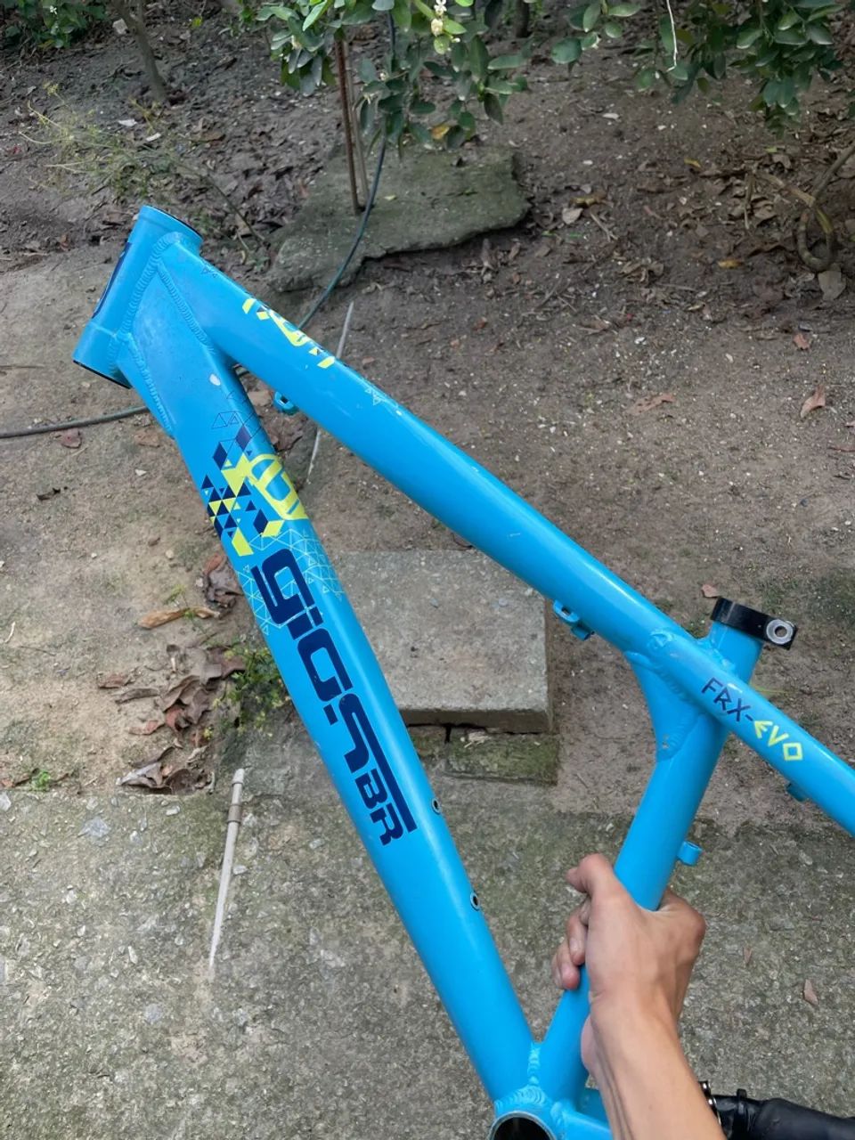 Quadro frx evo 2023