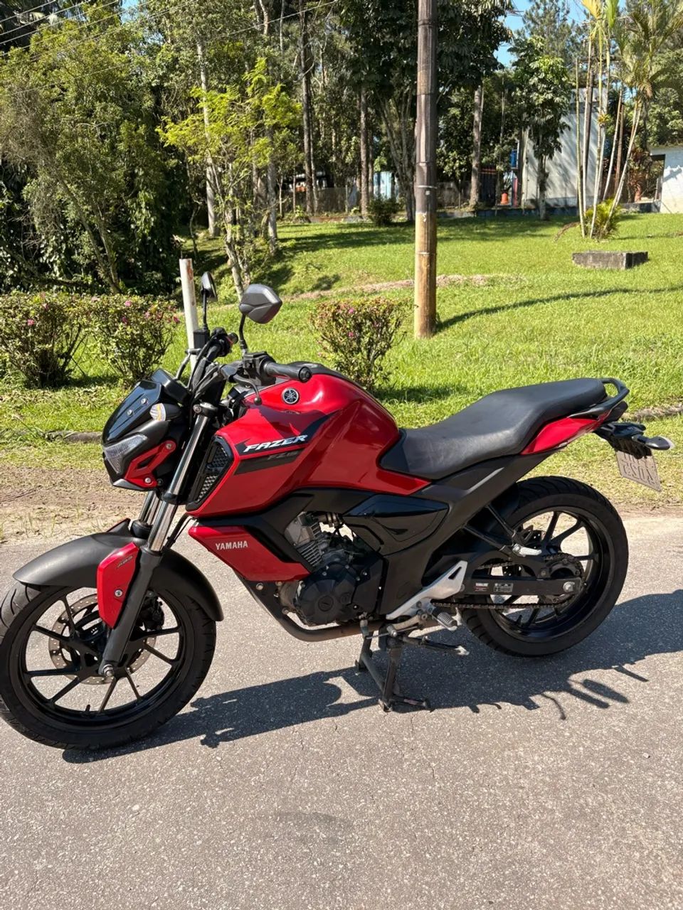 Fz15 2023