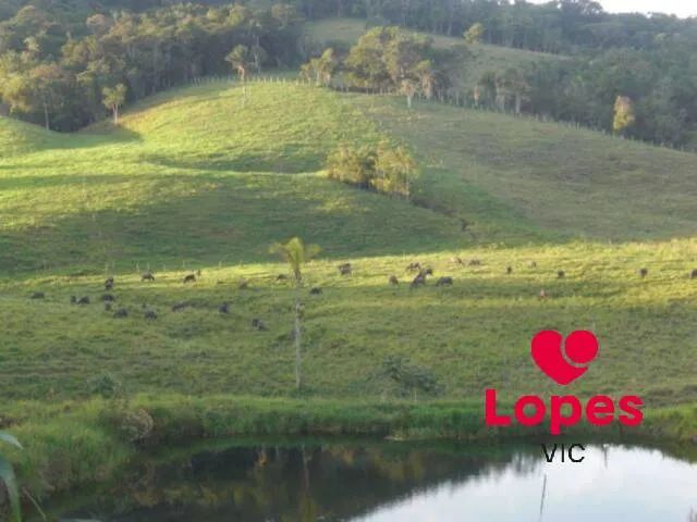 ÁREA - PARQUE SANTA ROSA - SUZANO/SP - Foto 3