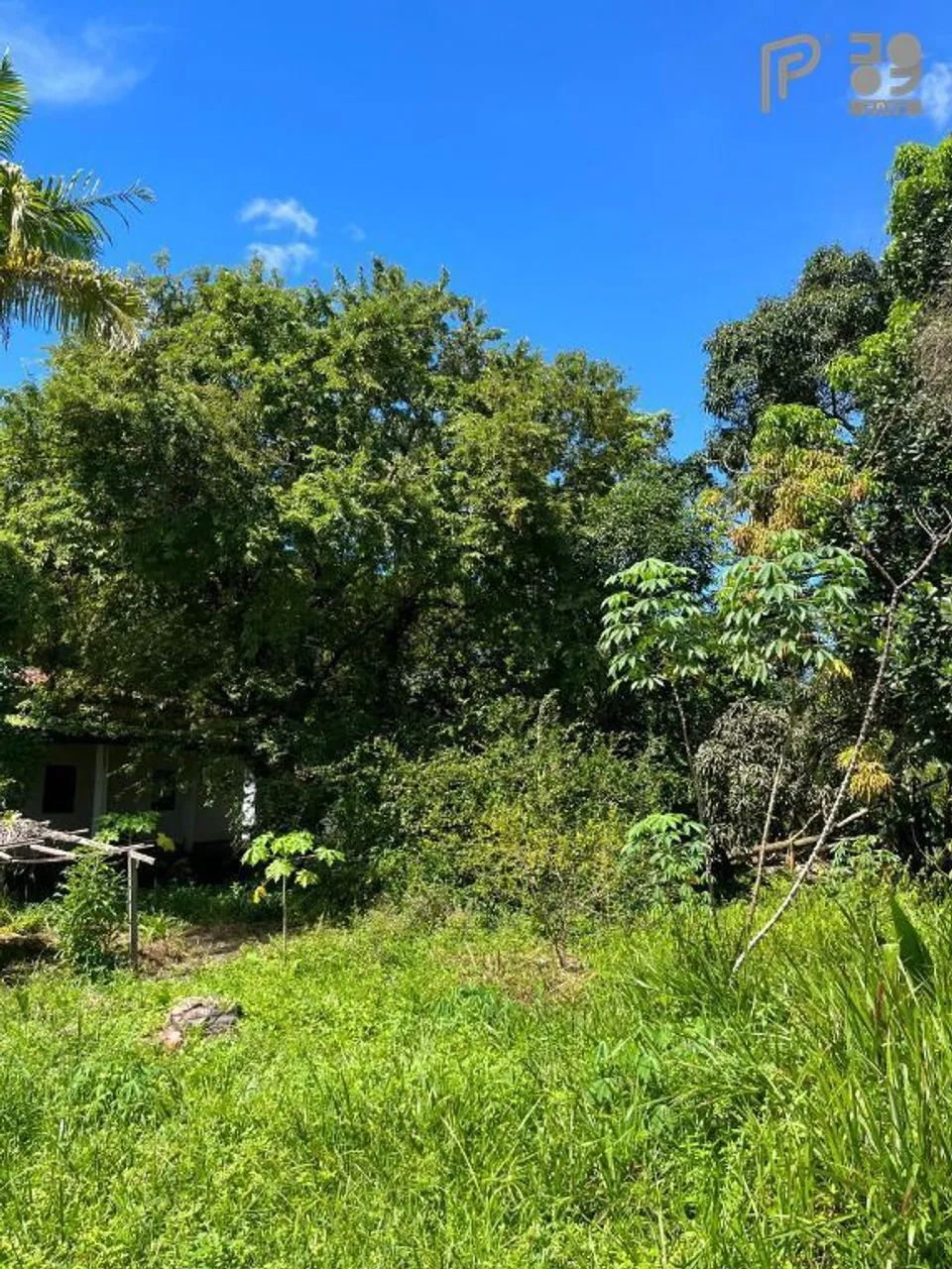 Área à venda, 40.000 m² por R$ 8.000.000,00 - Maiobinha - São Luís/MA - Foto 8
