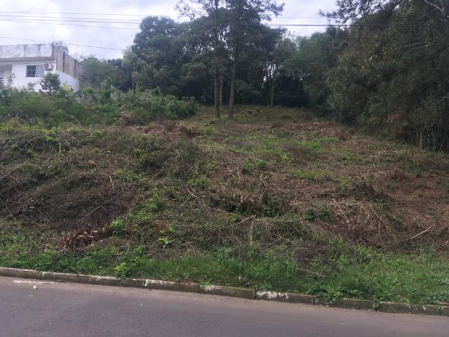 Terreno 700M2 Novo Hamburgo - Foto 2