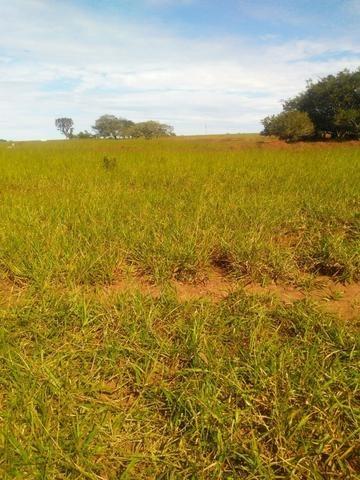 Terra para lavoura 30 km de Campo Grande - Foto 3