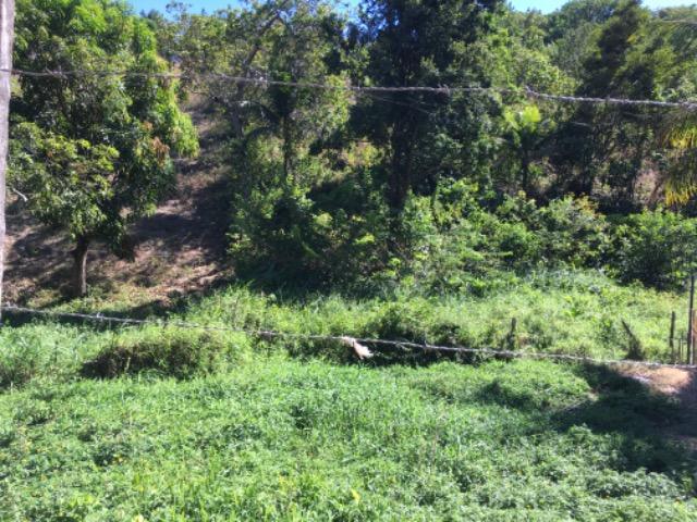 Terreno 18x12 Em Abreu e lima