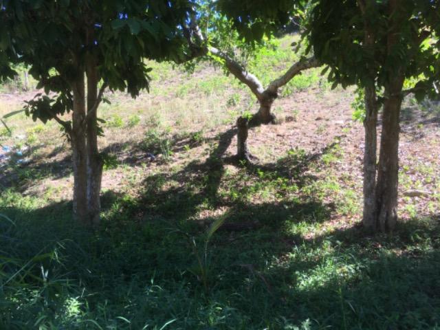 Terreno 18x12 Em Abreu e lima - Foto 7