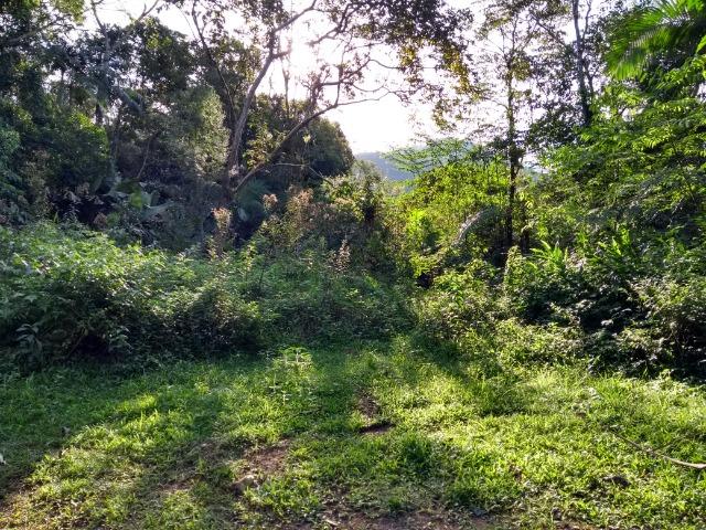 Terreno medindo 17 mil metros passando rio dentro e córrego - Foto 4