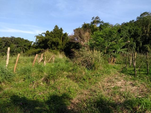 Área com 30 hectares com 600 metros de rio - Foto 19