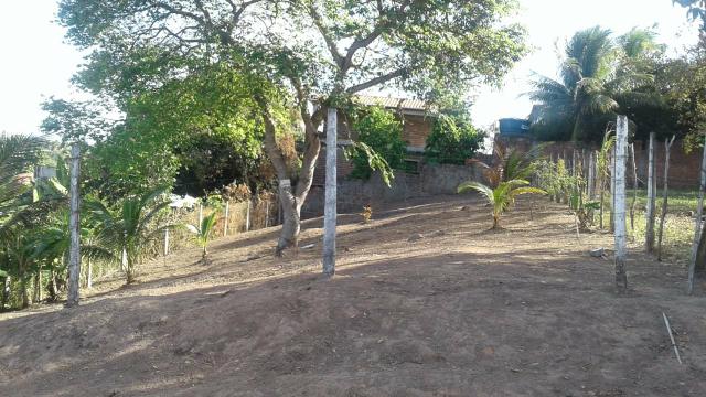 Terreno ilha de Itamaracá - Foto 3