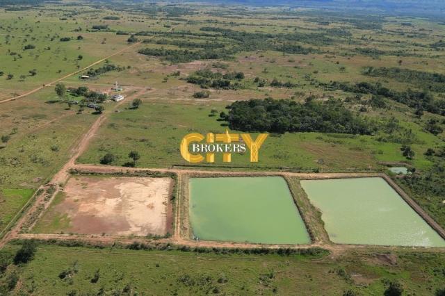 Fazenda na região rosário oeste - Foto 3
