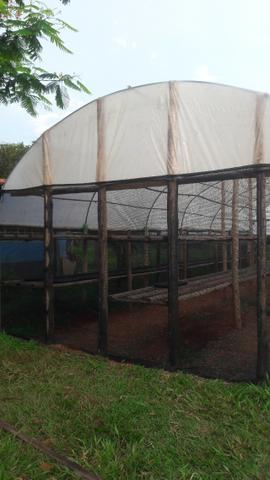 Venda ou Parceria em Horta Orgânica
