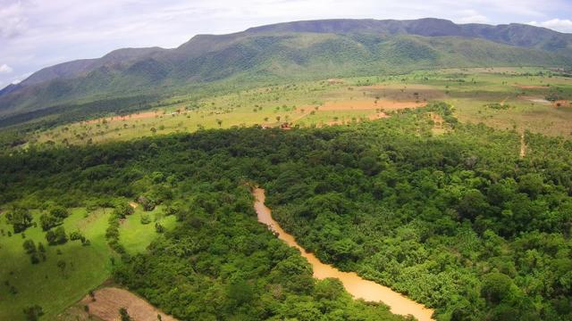 Chácara - Vão do Paranã - Formosa-GO - Foto 5