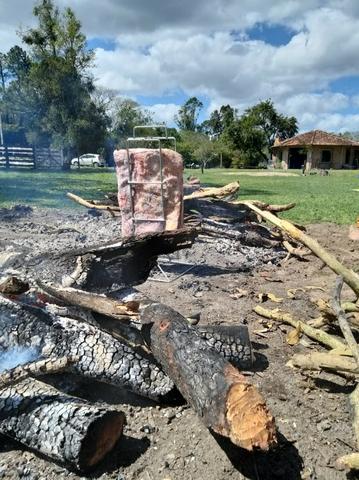 Sítio 2,9hec, no asfalto Lami POA/Itapuã, junto à rotatória, ótimo ponto comercial - Foto 13