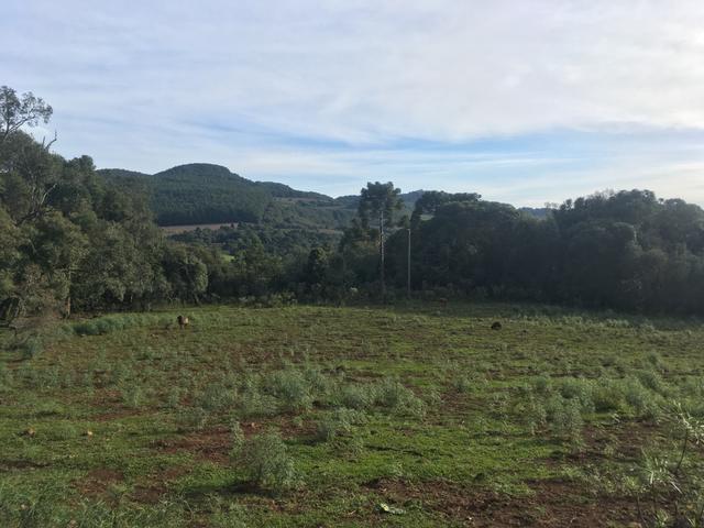 Terreno rural - Foto 5