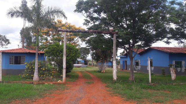Venda ou Parceria em Horta Orgânica - Foto 4